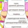 ТОП-33 лучших массажеров для ног в 2025 году