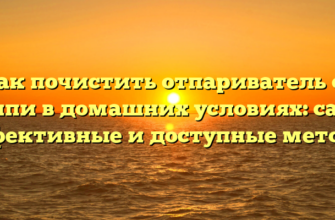 Как почистить отпариватель от накипи в домашних условиях: самые эффективные и доступные методы