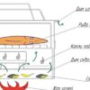 Какая коптильня лучше: рейтинг 2025 года по цене и качеству